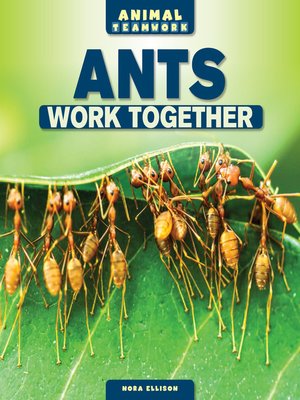 cover image of Ants Work Together